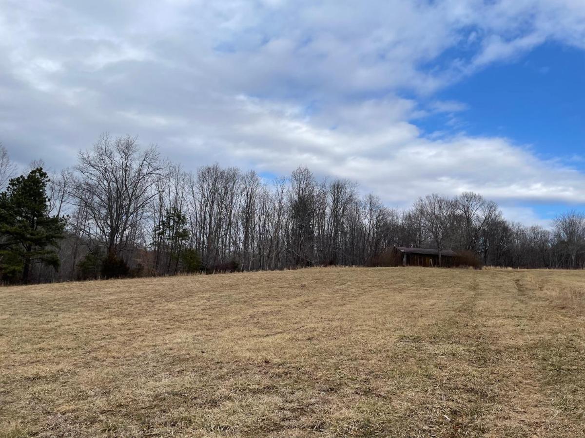Giggling Creek Cottage - Bedjet! King Sized! Gazebo, 45 Acres, Arcades, Nintendo, More Henry 外观 照片
